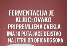 FERMENTIRANA CVEKLA IMA 1O PUTA JAČE DEJSTVO U ORGANIZMU NEGO CVEKLIN SOK
