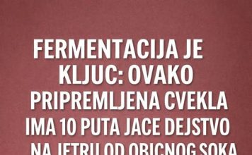 FERMENTIRANA CVEKLA IMA 1O PUTA JAČE DEJSTVO U ORGANIZMU NEGO CVEKLIN SOK