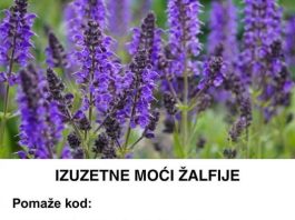 IZUZETNE MOĆI ŽALFIJE