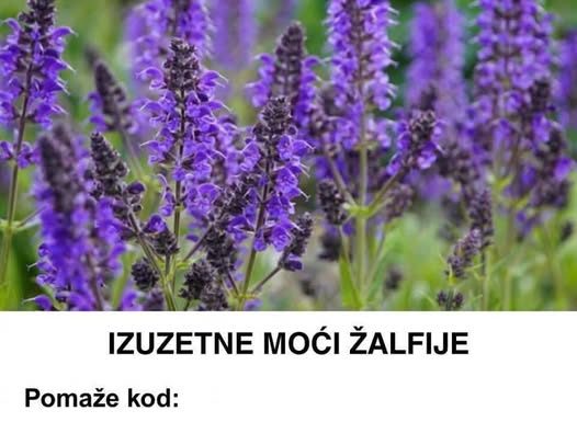 IZUZETNE MOĆI ŽALFIJE