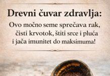 Drevni čuvar zdravlja: Ovo moćno seme sprečava rak, čisti krvotok, štiti srce i pluća i jača imunitet do maksimuma