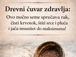 Drevni čuvar zdravlja: Ovo moćno seme sprečava rak, čisti krvotok, štiti srce i pluća i jača imunitet do maksimuma