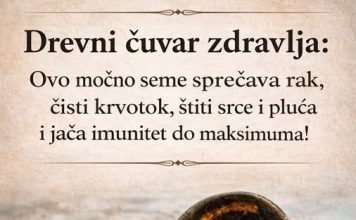 Drevni čuvar zdravlja: Ovo moćno seme sprečava rak, čisti krvotok, štiti srce i pluća i jača imunitet do maksimuma