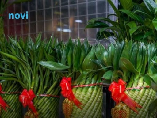 Obavezno unesite ove tri biljke u svoj dom u Novoj godini: Donose sreću, ljubav i prosperitet