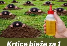 Krtice bježe za 1 minut! Prirodne metode