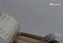 Jeftinija, a zdravija: Ova konzervirana riba ima dvostruko više omega-3 od skuplje