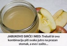JABUKOVO SIRĆE I MED: Trebali bi ovu kombinaciju piti svako jutro na prazan stomak, a evo i zašto…