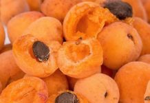 Nisu bolesni i ne znaju za RAK! Žive preko 100 godina, a žene rađaju i sa 65 godina! Smatraju da je ključ je u OVOM voću