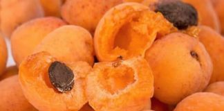 Nisu bolesni i ne znaju za RAK! Žive preko 100 godina, a žene rađaju i sa 65 godina! Smatraju da je ključ je u OVOM voću