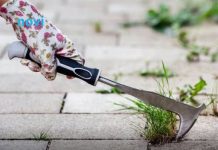 Na vrijeme spriječite pojavu korova: Ključno je napraviti ovo tokom zime