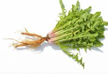 Nalazi se u svakom vrtu, a jedan list može spasiti vaš život za minut, ali samo neki znaju kako ga koristiti