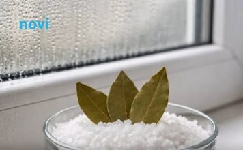 Stavite so i 3 lista lovora u svaku sobu i gledajte kako nestaje problem koji muči svako domaćinstvo