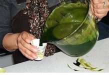 Čudotvorni napitak iz prirode – Evo kako kopriva izvlači otrove iz vaše krvi!