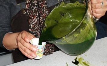 Čudotvorni napitak iz prirode – Evo kako kopriva izvlači otrove iz vaše krvi!