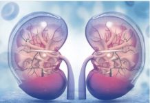 KADA SA BUBREZIMA NEŠTO NIJE U REDU – tijelo šalje ove signale! 6 simptoma koje ne smijete ignorisati