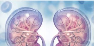 KADA SA BUBREZIMA NEŠTO NIJE U REDU – tijelo šalje ove signale! 6 simptoma koje ne smijete ignorisati