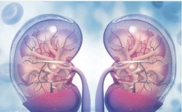 KADA SA BUBREZIMA NEŠTO NIJE U REDU – tijelo šalje ove signale! 6 simptoma koje ne smijete ignorisati