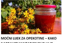 MOĆNI LIJEK ZA OPEKOTINE – KAKO NAPRAVITI KANTARIONOVO ULJE Prirodni eliksir koji smiruje kožu, ubrzava zarastanje rana i njeguje dubinski!