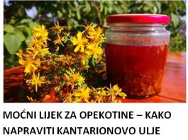 MOĆNI LIJEK ZA OPEKOTINE – KAKO NAPRAVITI KANTARIONOVO ULJE Prirodni eliksir koji smiruje kožu, ubrzava zarastanje rana i njeguje dubinski!
