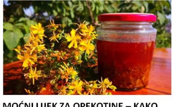 MOĆNI LIJEK ZA OPEKOTINE – KAKO NAPRAVITI KANTARIONOVO ULJE Prirodni eliksir koji smiruje kožu, ubrzava zarastanje rana i njeguje dubinski!