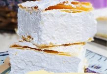 PRAVA DOMAĆA ŠAMPITA