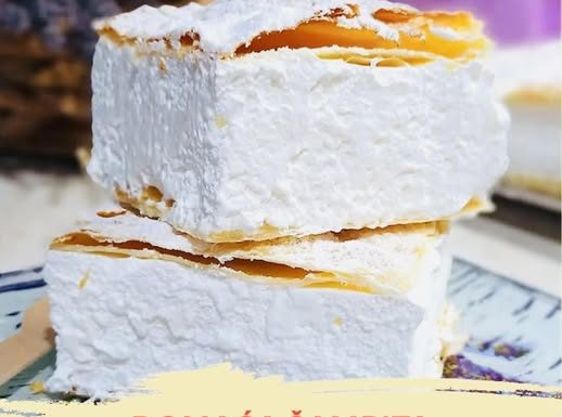 PRAVA DOMAĆA ŠAMPITA