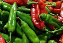 Hrana koja liječi: Ljuta papričica čudo od namirnice, evo za šta je sve dobra