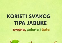 KORISTI SVAKOG TIPA JABUKE
