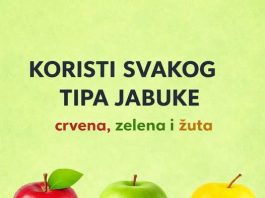 KORISTI SVAKOG TIPA JABUKE