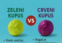 SEDAM DOBROBITI KUPUSA ZA VAŠE ZDRAVLJE