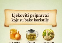 LJEKOVITI PRIPRAVCI KOJE SU KORISTILE NAŠE BAKE