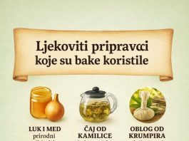 LJEKOVITI PRIPRAVCI KOJE SU KORISTILE NAŠE BAKE