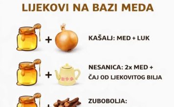 PRIRODNI LIJEKOVI NA BAZI MEDA