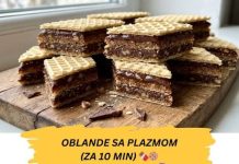OBLANDE SA PLAZMOM ZA DESET MINUTA