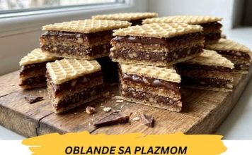 OBLANDE SA PLAZMOM ZA DESET MINUTA