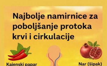 NAJBOLJE NAMIRNICE ZA DOBRU CIRKULACIJU