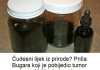 Čudesni lijek iz prirode? Priča Bugara koji je pobijedio tumor uz pomoć biljke koju svi imamo oko kuće!