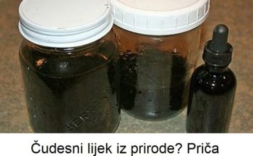 Čudesni lijek iz prirode? Priča Bugara koji je pobijedio tumor uz pomoć biljke koju svi imamo oko kuće!