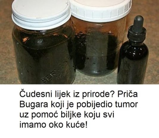 Čudesni lijek iz prirode? Priča Bugara koji je pobijedio tumor uz pomoć biljke koju svi imamo oko kuće!