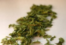 TEŠKI METALI IZAZIVAJU MNOGE BOLESTI! Ova biljka uklanja 80% teških metala iz vašeg tijela: Evo šta treba da uradite