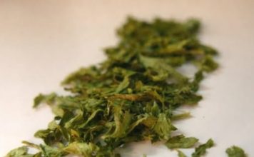 TEŠKI METALI IZAZIVAJU MNOGE BOLESTI! Ova biljka uklanja 80% teških metala iz vašeg tijela: Evo šta treba da uradite