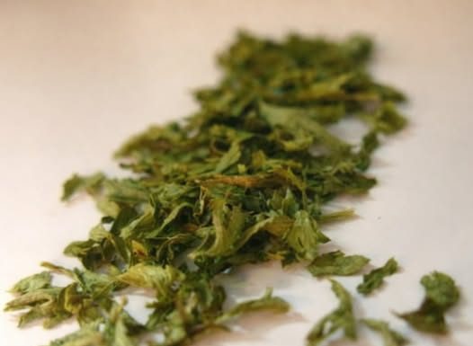 TEŠKI METALI IZAZIVAJU MNOGE BOLESTI! Ova biljka uklanja 80% teških metala iz vašeg tijela: Evo šta treba da uradite