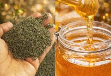 MED SA KOPRIVOM: Čuveni lijek za anemiju, glavobolju i nesanicu