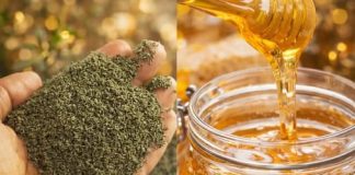 MED SA KOPRIVOM: Čuveni lijek za anemiju, glavobolju i nesanicu