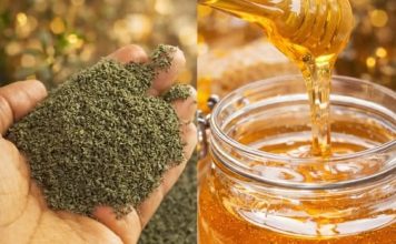 MED SA KOPRIVOM: Čuveni lijek za anemiju, glavobolju i nesanicu