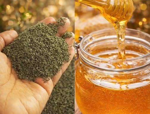 MED SA KOPRIVOM: Čuveni lijek za anemiju, glavobolju i nesanicu