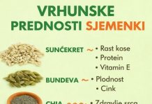 VRHUNSKE PREDNOSTI KONZUMIRANJA SJEMENKI ZA VAŠE ZDRAVLJE