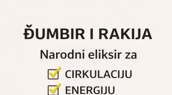 ĐUMBIR I RAKIJA