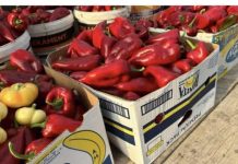 AKO IMATE OVE TEGOBE, IZBJEGAVAJTE PAPRIKU: Šteta koju može naneti vašem organizmu je ogromna