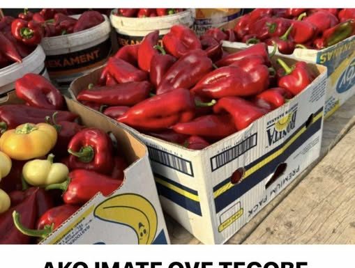 AKO IMATE OVE TEGOBE, IZBJEGAVAJTE PAPRIKU: Šteta koju može naneti vašem organizmu je ogromna